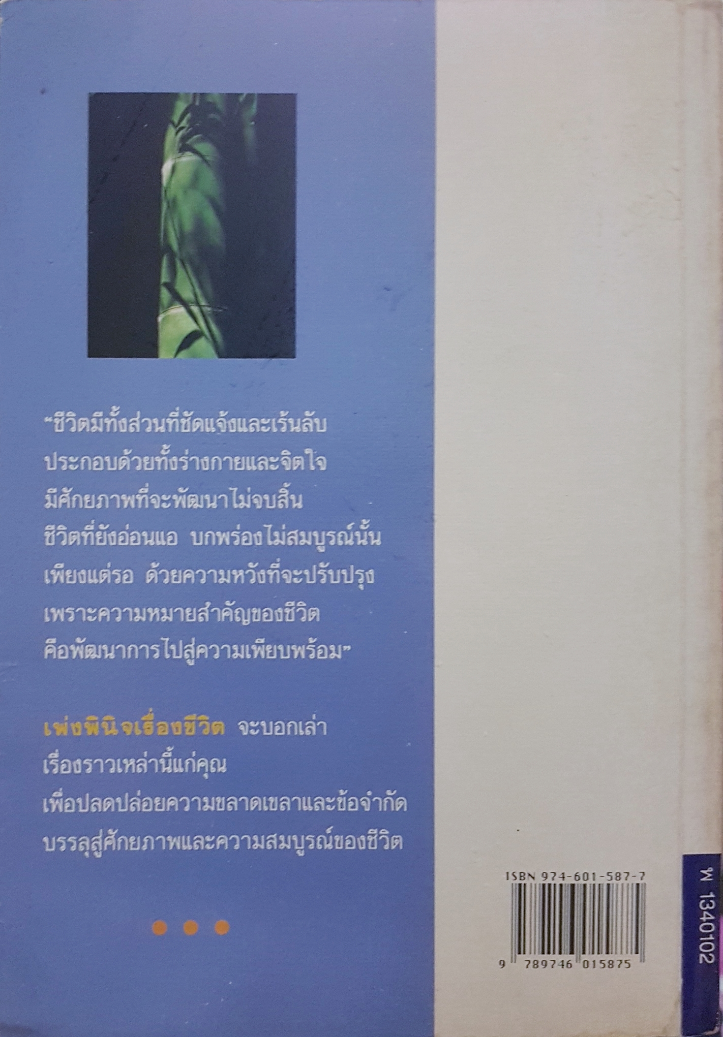 เพ่งพินิจ เรื่องชีวิต ระวี ภาวิไล