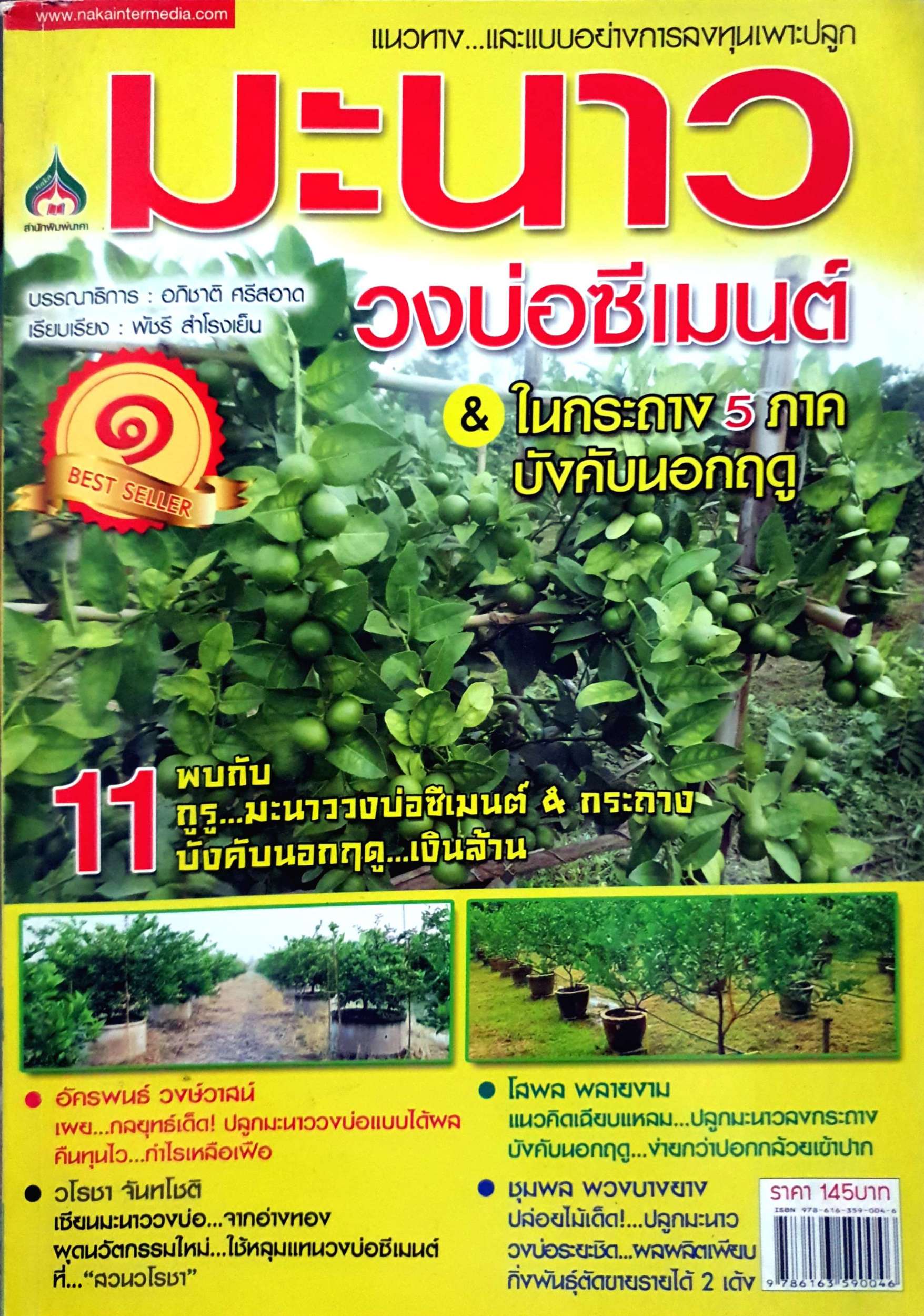 มะนาว วงบ่อซีเมนต์