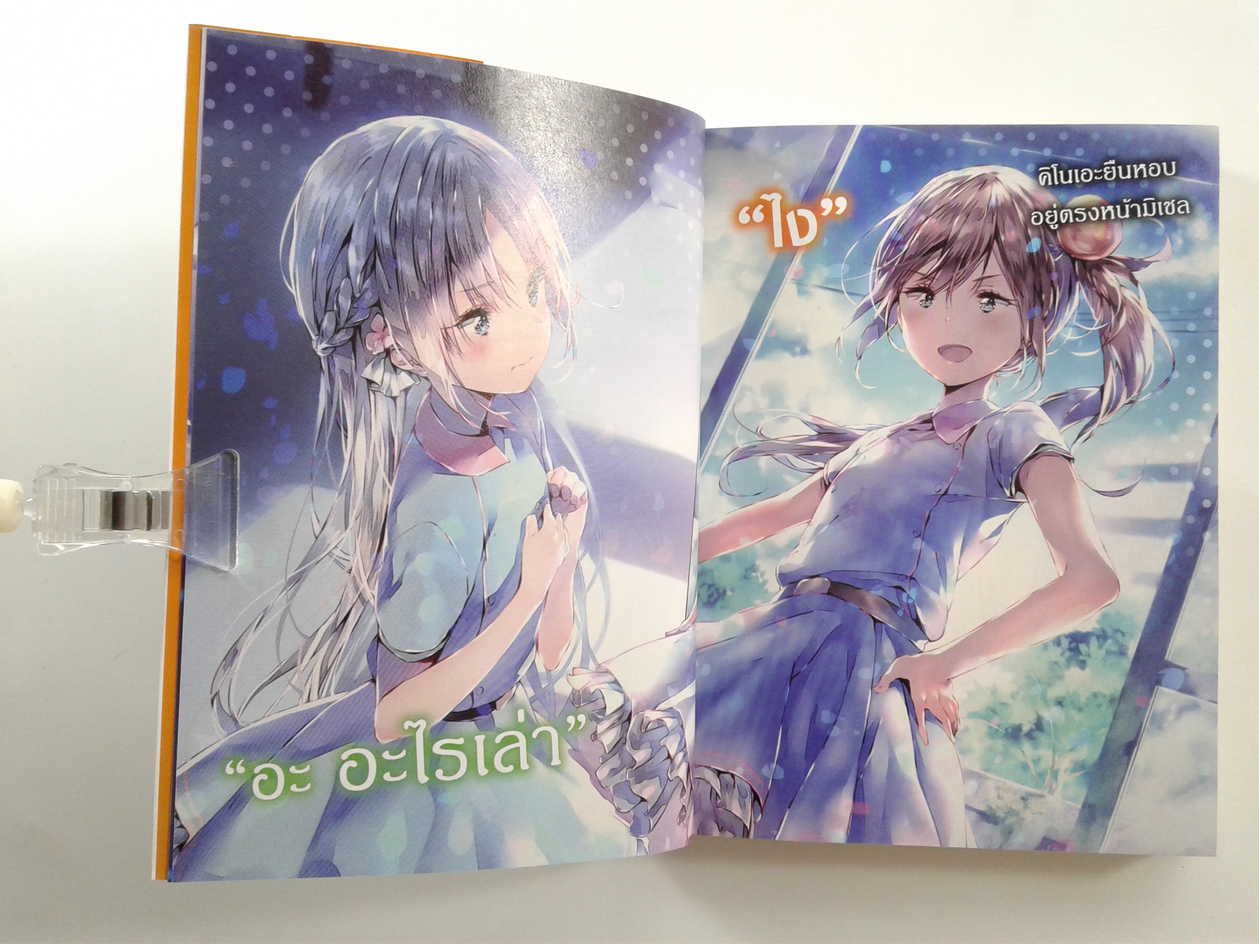 ทำนองเพลงบรรเลงฝัน นิยายแปล ไลท์โนเวล หนังสือ