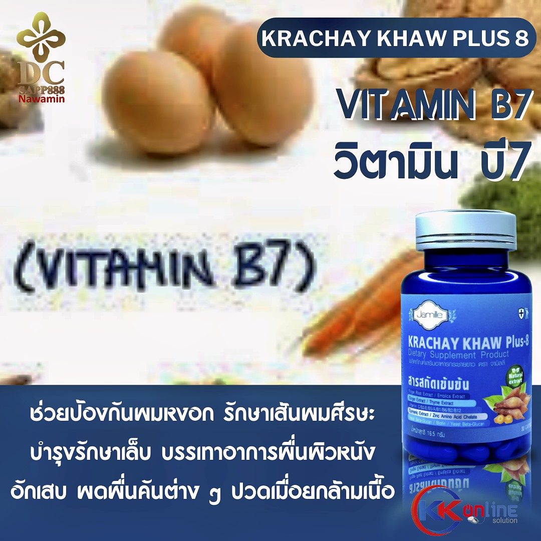 กระชายขาว,กระชายขาวพลัส8,กระชายขาว พลัส 8,กระชายขาว พลัส8,Krachay khaw plus 8,เสริมสร้างภูมิคุ้มกัน,ยับยั้งไวรัส,โตวิด19,covid19,sapp888 กระชายขาว,กระชายขาวพลัส8,กระชายขาว พลัส 8,กระชายขาว พลัส8,Krachay khaw plus 8,เสริมสร้างภูมิคุ้มกัน,ยับยั้งไวรัส,โตวิด19,covid19,sapp888