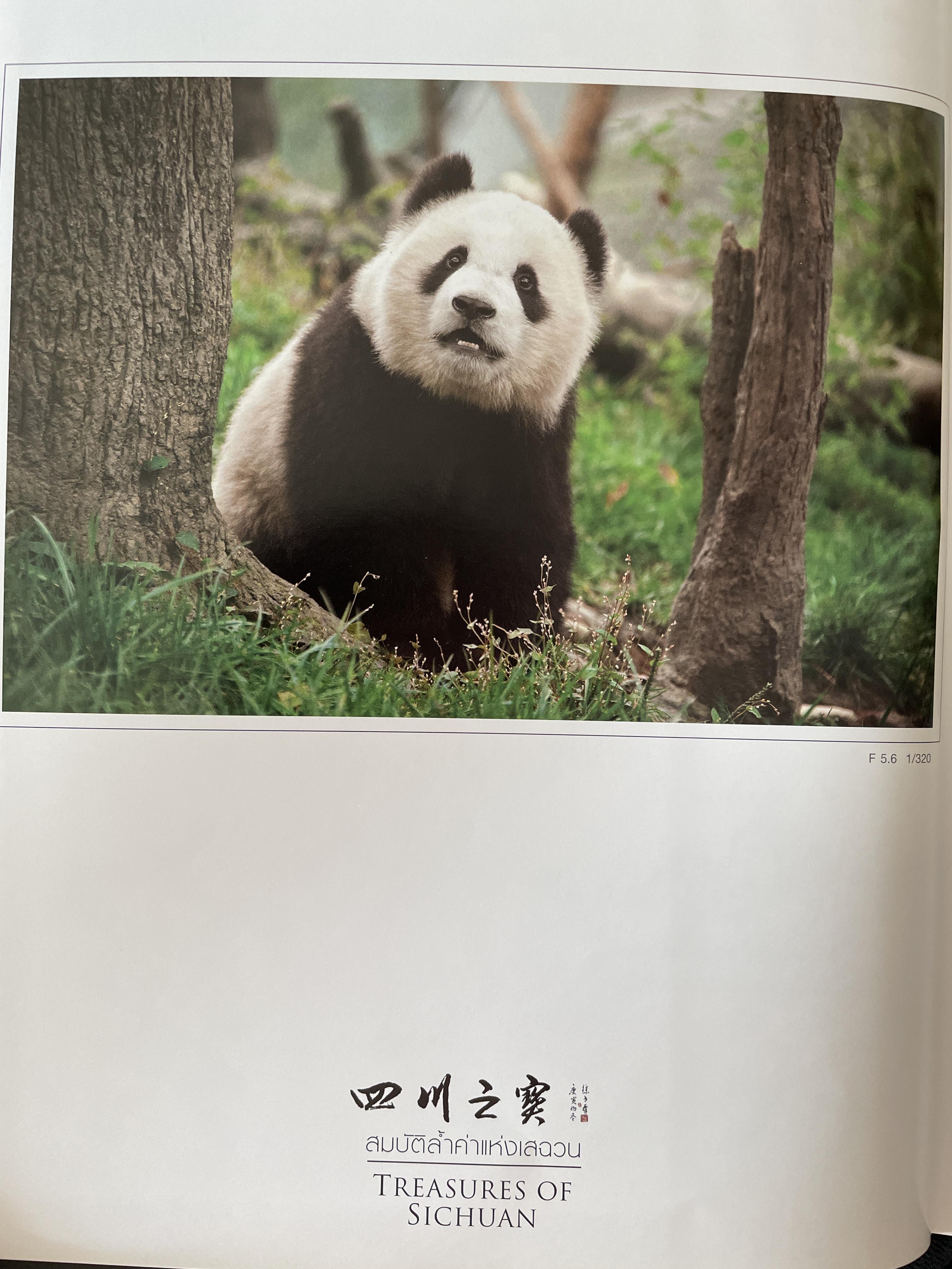 สมบัติล้ำค่าแห่งเสฉวน Treasures of Sichuan. David Lau’s Photo Collection 5 กก. ปกแข็ง