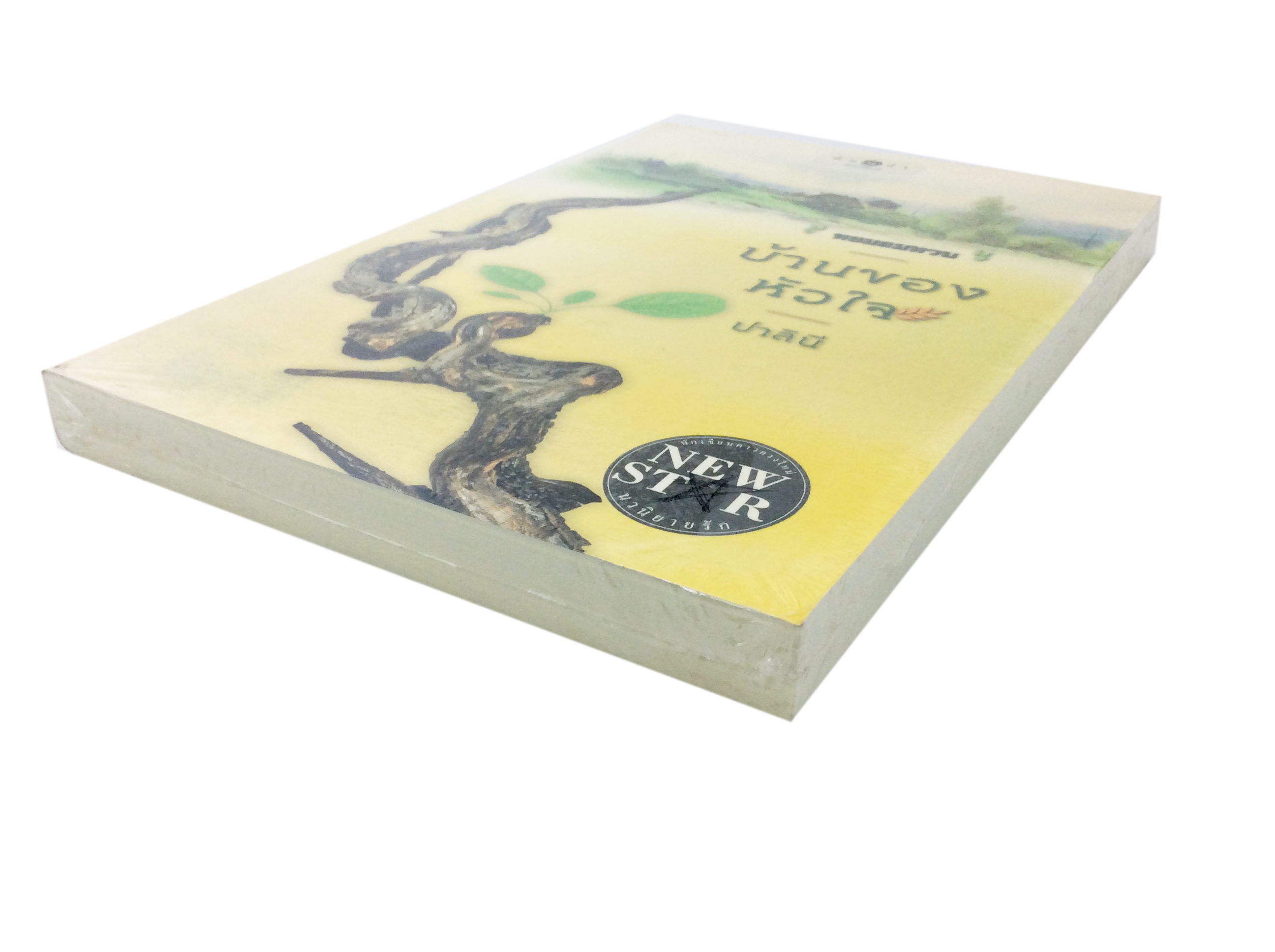 บ้านของหัวใจ นิยาย นิยายลดราคา หนังสือนิยาย