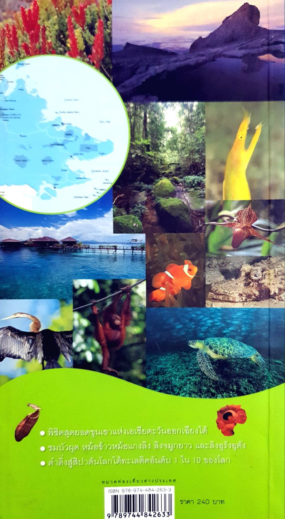 นำเที่ยวมาเลเซีย คินาบาลู บอร์เนียวเหนือ by เกรียงไกร สุวรรณภักดิ์