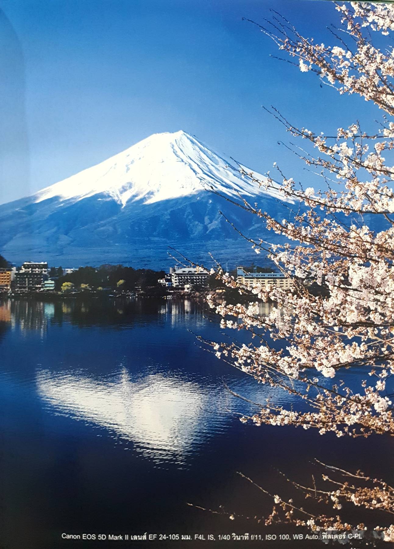 คู่มือใช้กล้องดิจิตอล SLR ฉบับสมบูรณ์ โดยทีมงานนิตยสาร SHUTTER PHOTOGRAPHY