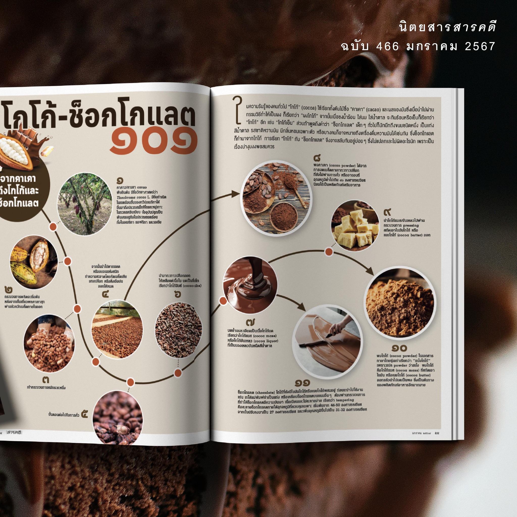 นิตยสารสารคดี ฉบับ 466 มกราคม 2567 CHOCOLATE IN SIAM