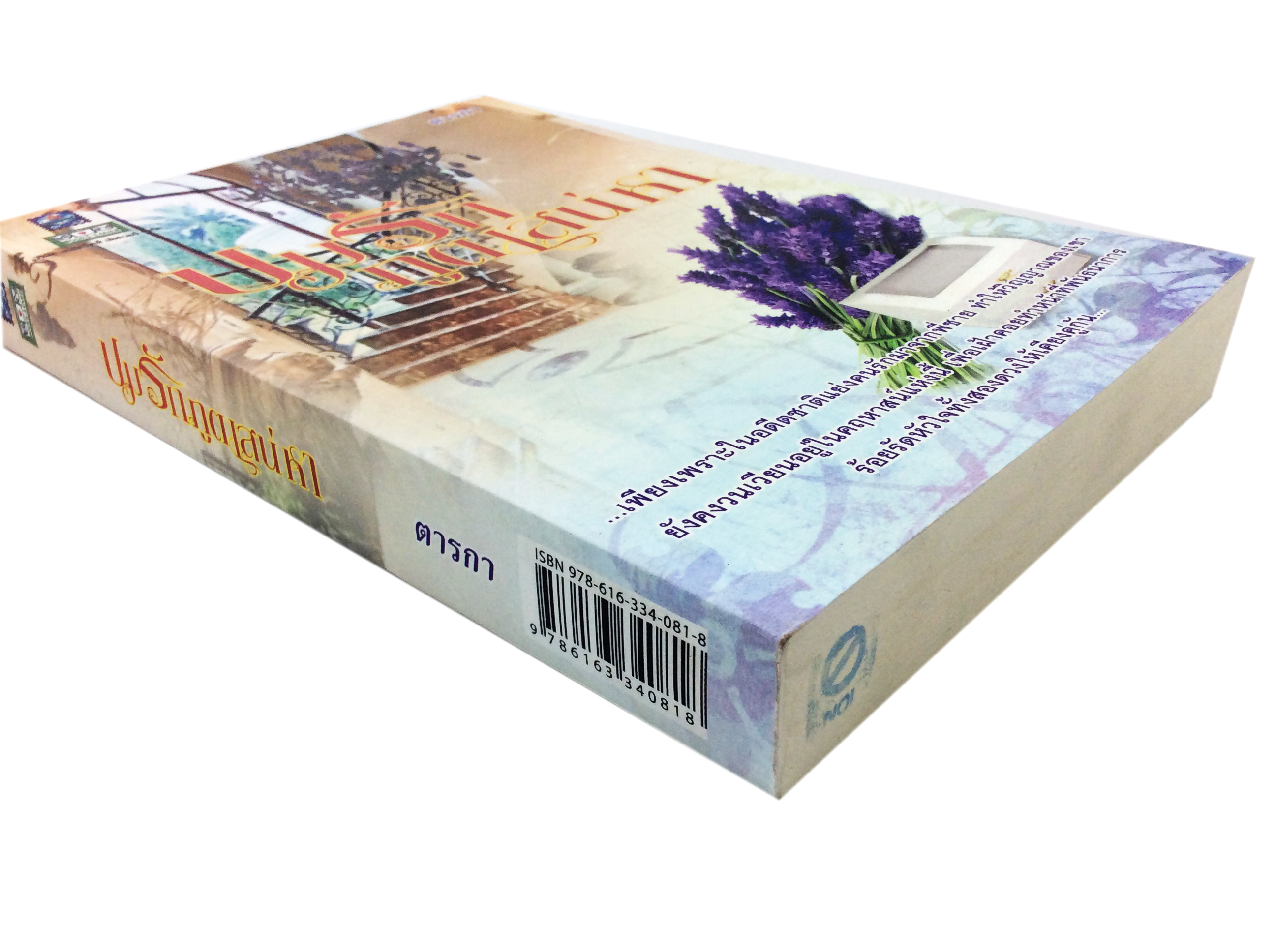 ปมรักภูตเสน่หา นิยาย นิยายลดราคา หนังสือนิยาย