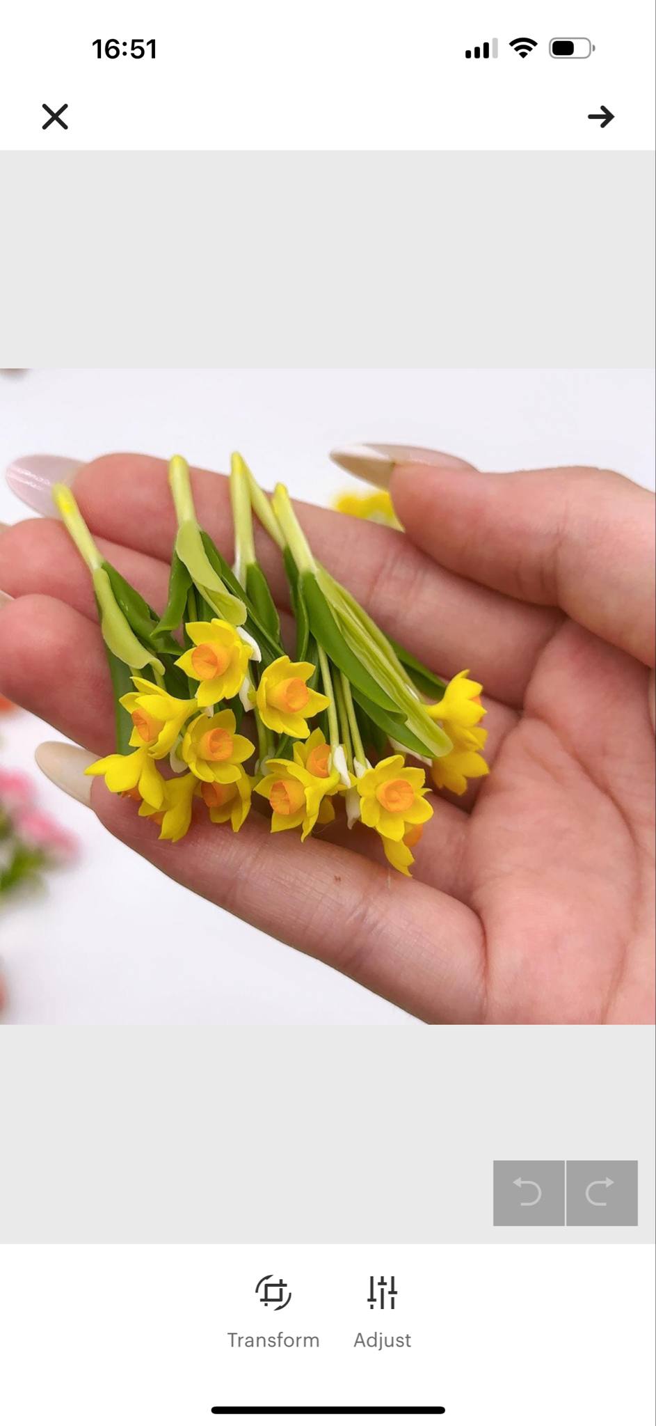 5 pieces Miniature Daffodil Yellow-Orange Flower, Miniature Orchid