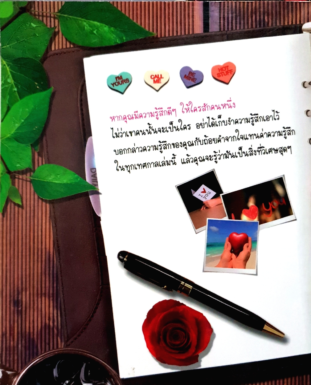 ถ้อยคำจากใจ แทนค่าความรู้สึกในทุกเทศกาล / Natacha Steive