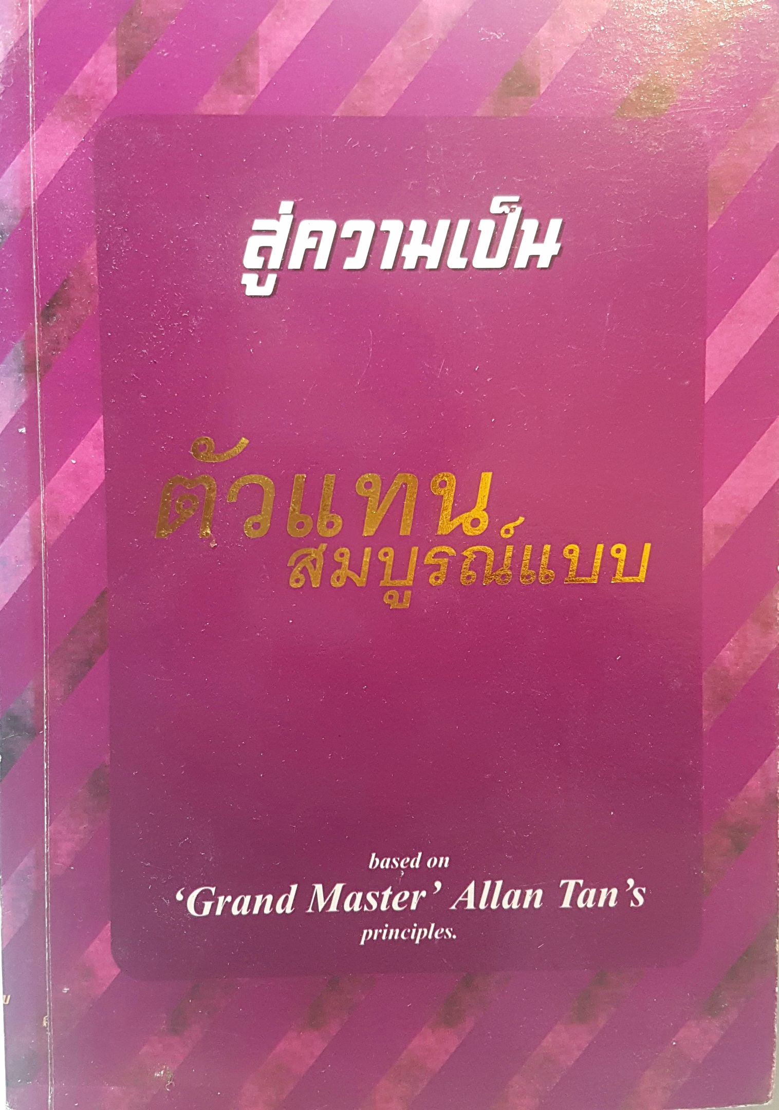 สู่ความเป็นตัวแทน สมบูรณ์แบบ