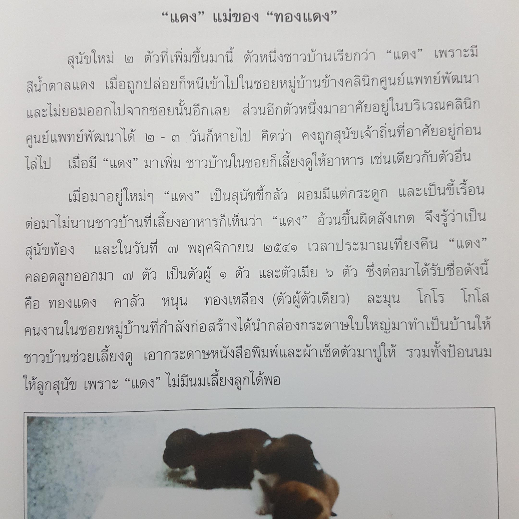 พระราชนิพนธ์พระบาทสมเด็จพระเจ้าอยู่หัวภูมิพลอดุลยเดช เรื่องทองแดง