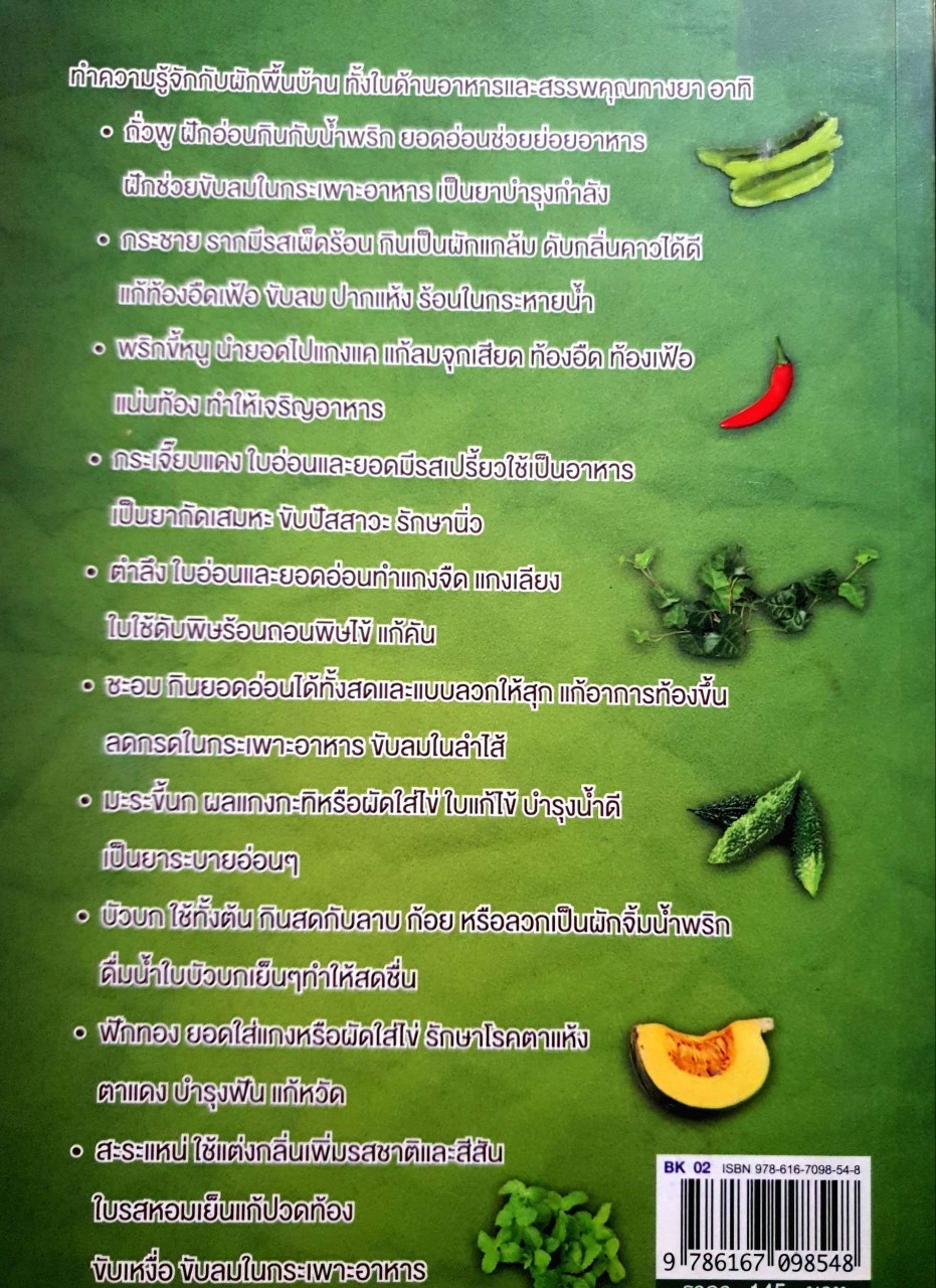 ปลูกผักพื้นบ้าน อาหาร-ยาต้านโรค : ณรงค์ มูลคำ