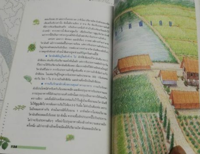 สวนผักรักษ์ไทย โครงการเฉลิมพระเกียรติ เนื่องในโอกาสพระราชพิธีมหามงคล เฉลิมพระเกียรติพรรษา 6 รอบ 5 ธันวาคม 2542