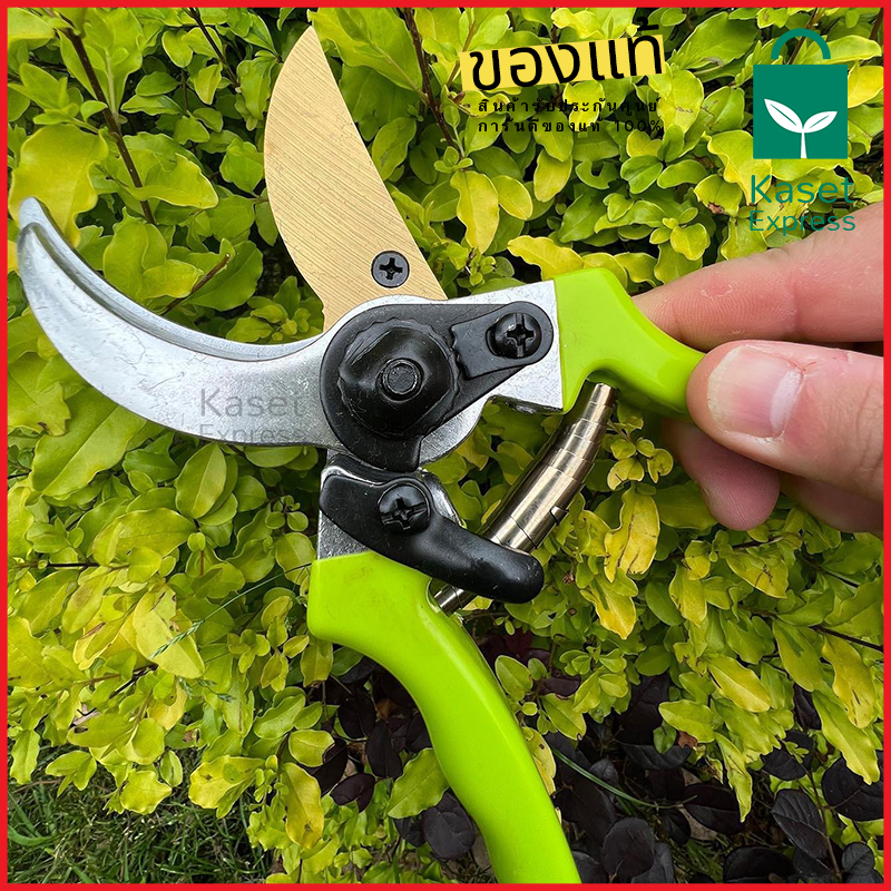 กรรไกรตัดกิ่ง 8นิ้ว รุ่น SW-185 กรรไกรตัดแต่งกิ่งไม้ สีเขียวอ่อน คมมากๆ
