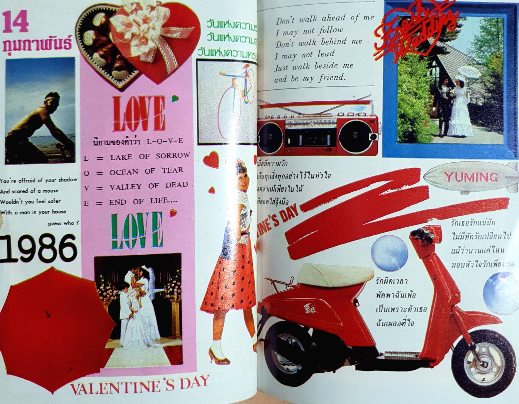 รัก วัยรุ่นนักศึกษา 14 กุมภาพันธ์ 1986 valentine's day