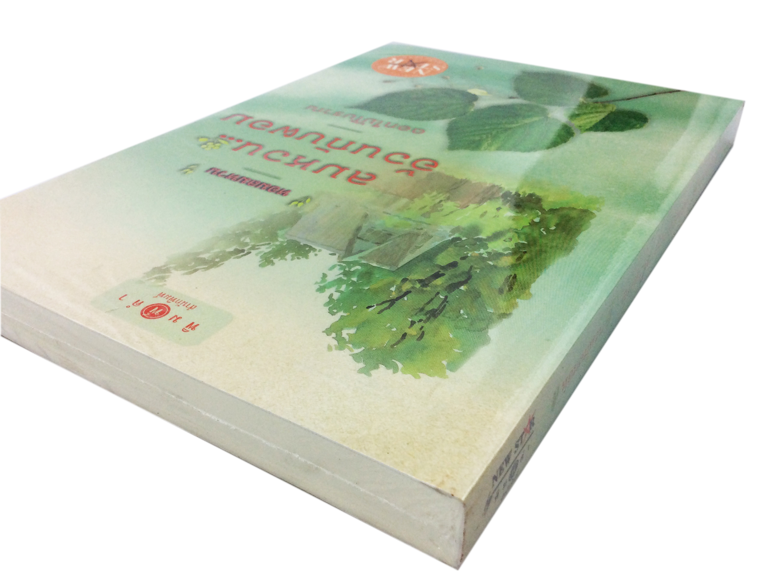 ลมหวนอ้วนกับผอม นิยาย นิยายลดราคา หนังสือนิยาย