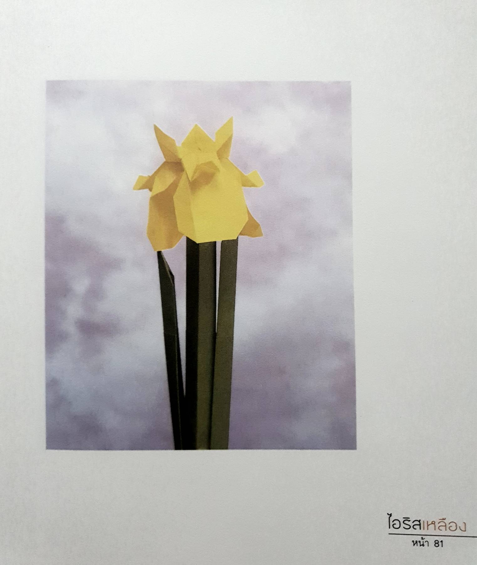 โลกของโอริกามิ ศิลปะการพับกระดาษรูปดอกไม้และสัตว์ = Origami dream world : flowers and animals By คาวาซากิ, โทชิคาสึ โกวิทย์ เลี้ยงกอสกุล