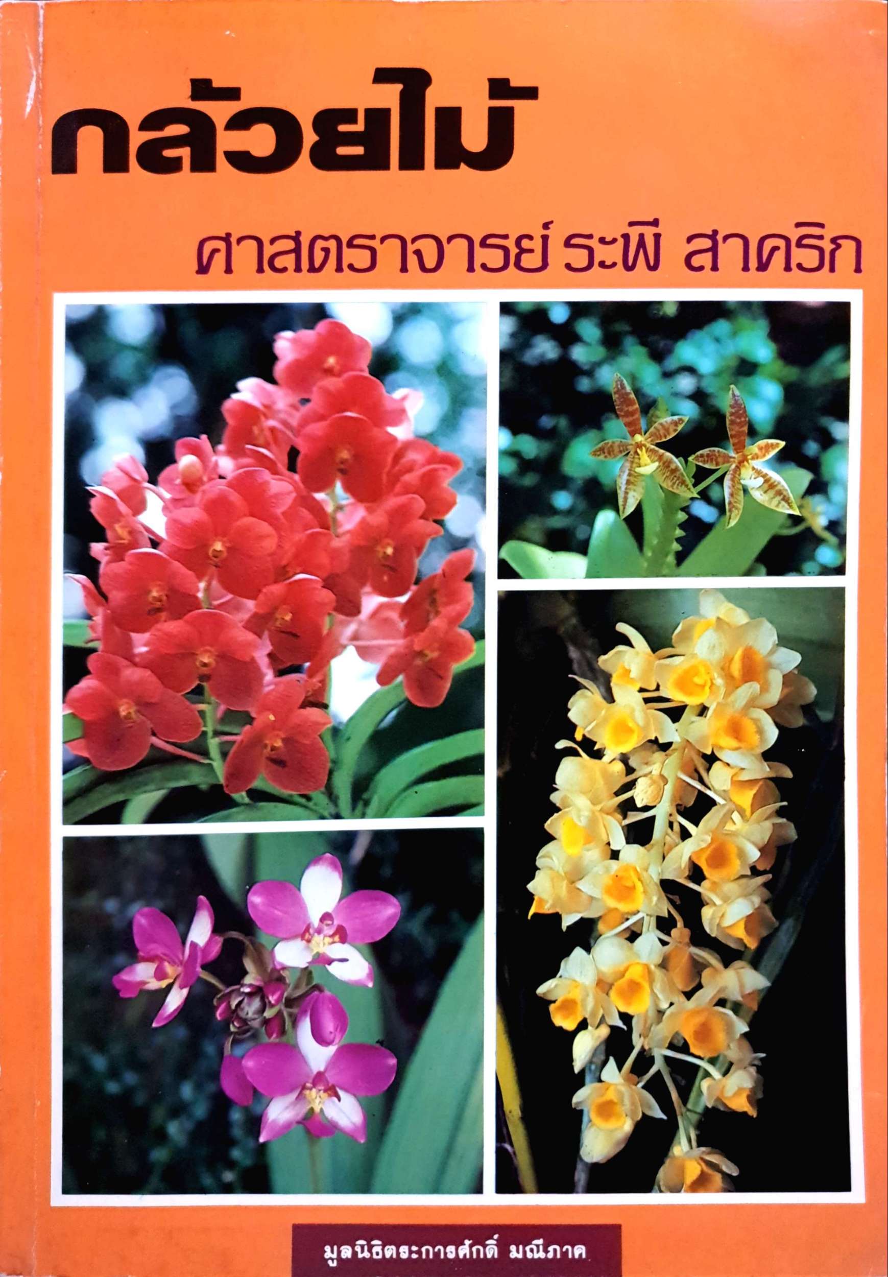กล้วยไม้ ศาสตราจารย์ ระพี สาคริก มูลนิธิตระการศักดิ์ มณีภาค