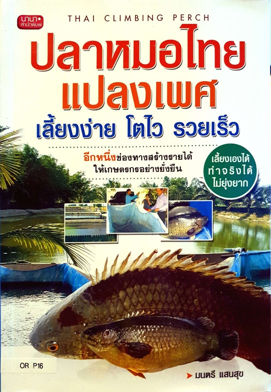 ปลาหมอไทยแปลงเพศ : มนตรี แสนสุข