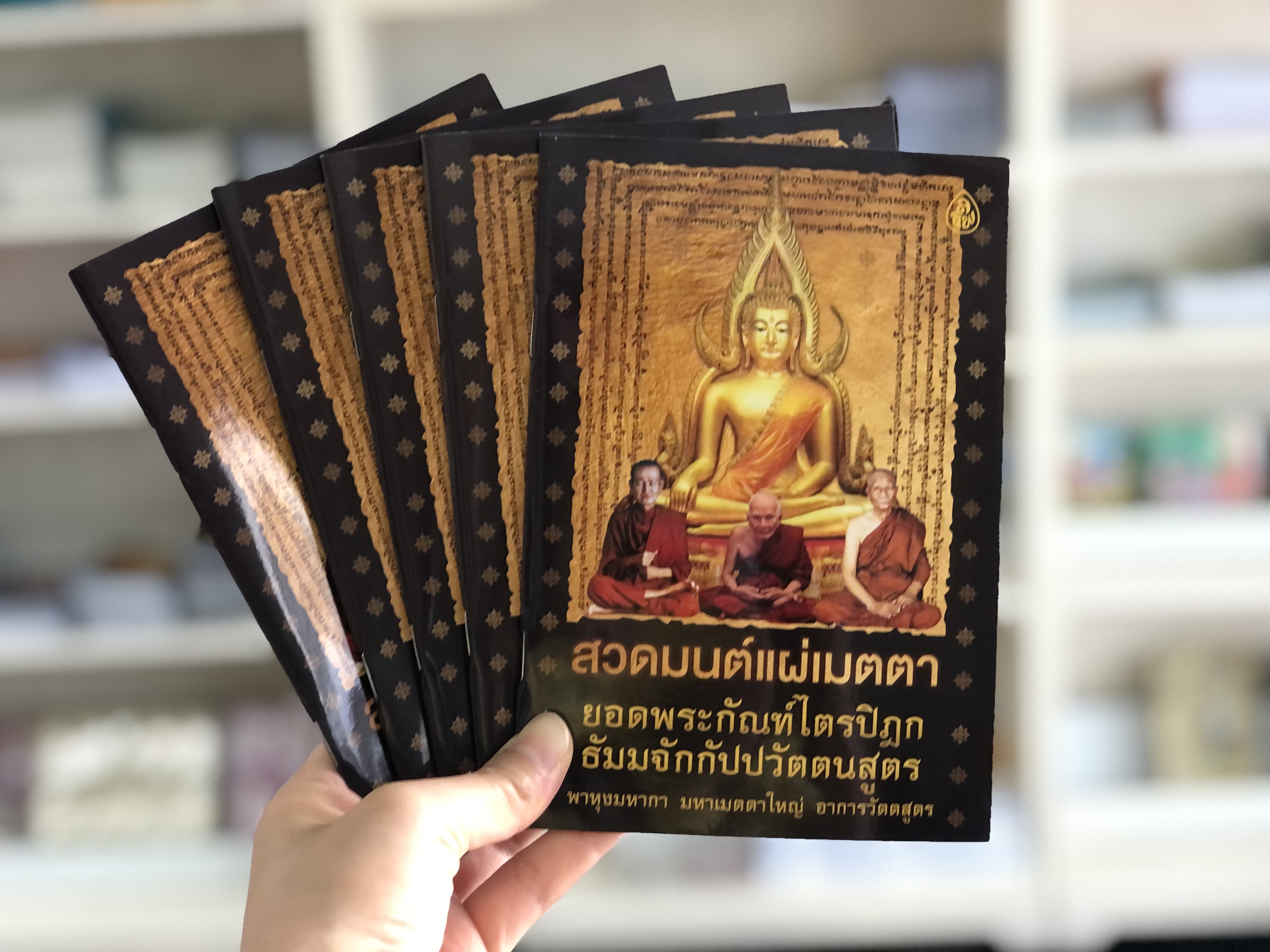 หนังสือสวดมนต์ ชุดเพิ่มพลังบุญ เสริมโชคลาภ (แพค10เล่ม คละปก) หนังสือธรรมะ บจ.สำนักพิมพ์เลี่ยงเชียง