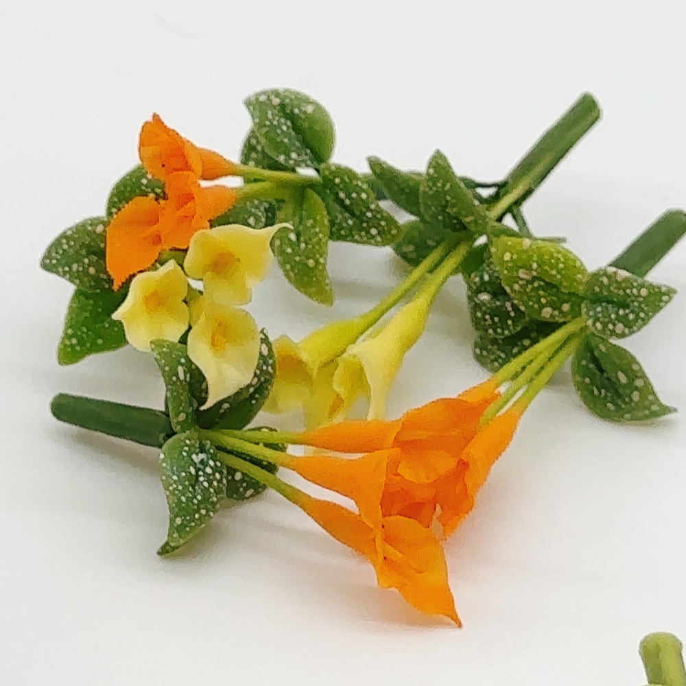 5 ช่อ คาร่าจิ๋ว ดอกไม้จิ๋ว แบบไม่มีกระถาง