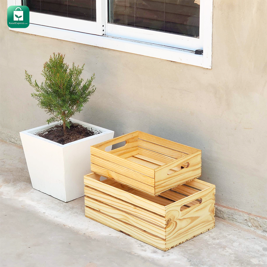 ลังไม้สน LM6 ขนาด 34x44x20ซม. เครือบสี / ลังไม้สน ลังไม้อเนกประสงค์ กล่องไม้ กล่องลังไม้ กล่องไม้ใส่ของ