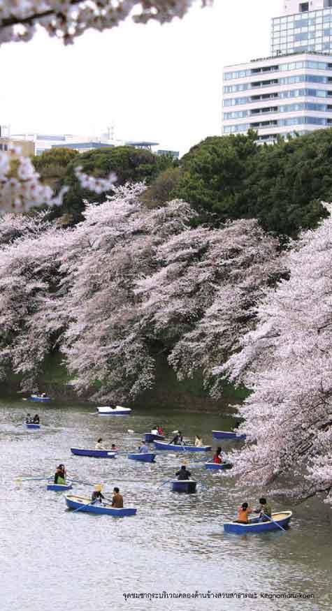 ซอกแซกโตเกียว เที่ยวฟูจิ (หนังสือคืนจากร้านค้า สภาพ 70% มีตำหนิ)