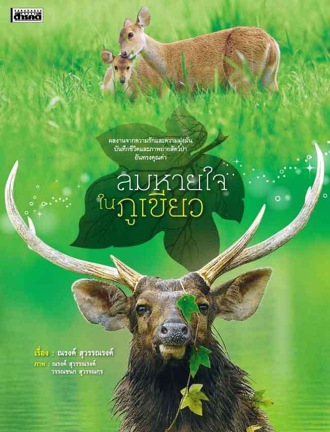 ลมหายใจในภูเขียว (หนังสือคืนจากร้านค้า สภาพ 70% มีตำหนิ)