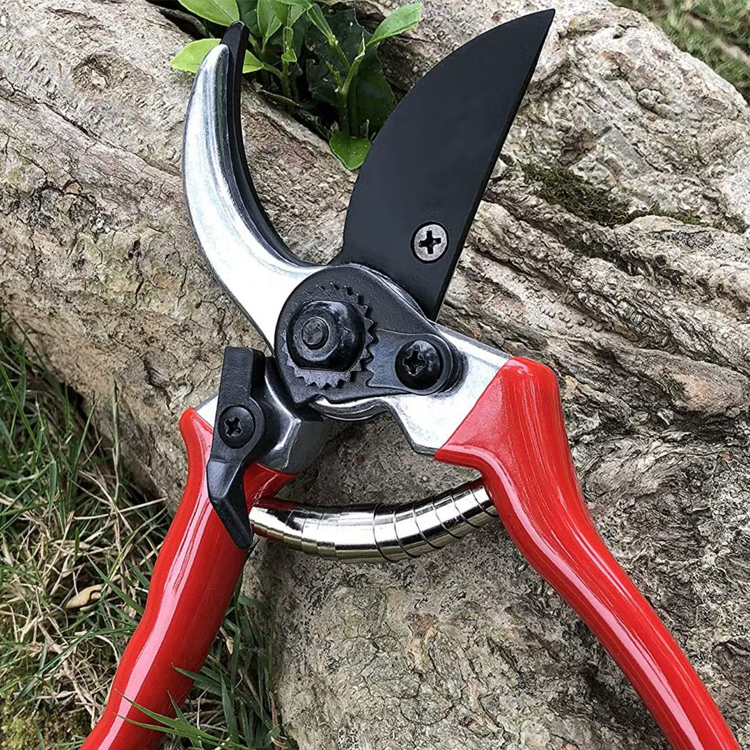 กรรไกรตัดกิ่ง เหล็ก SK5 + อลูมิเนียมอัลลอยด์ กรรไกรตัดแต่งกิ่งไม้ ขนาด 8นิ้ว คมมากๆ