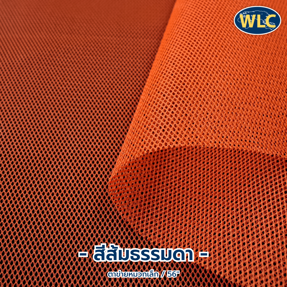 ตาข่ายหมวกเล็ก/56"