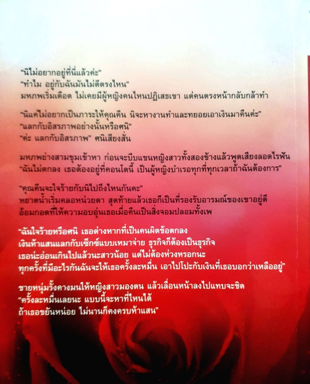 นิยายโรมานซ์ (18+) “ เมียบำเรอ เหมาจ่าย “ : วสา