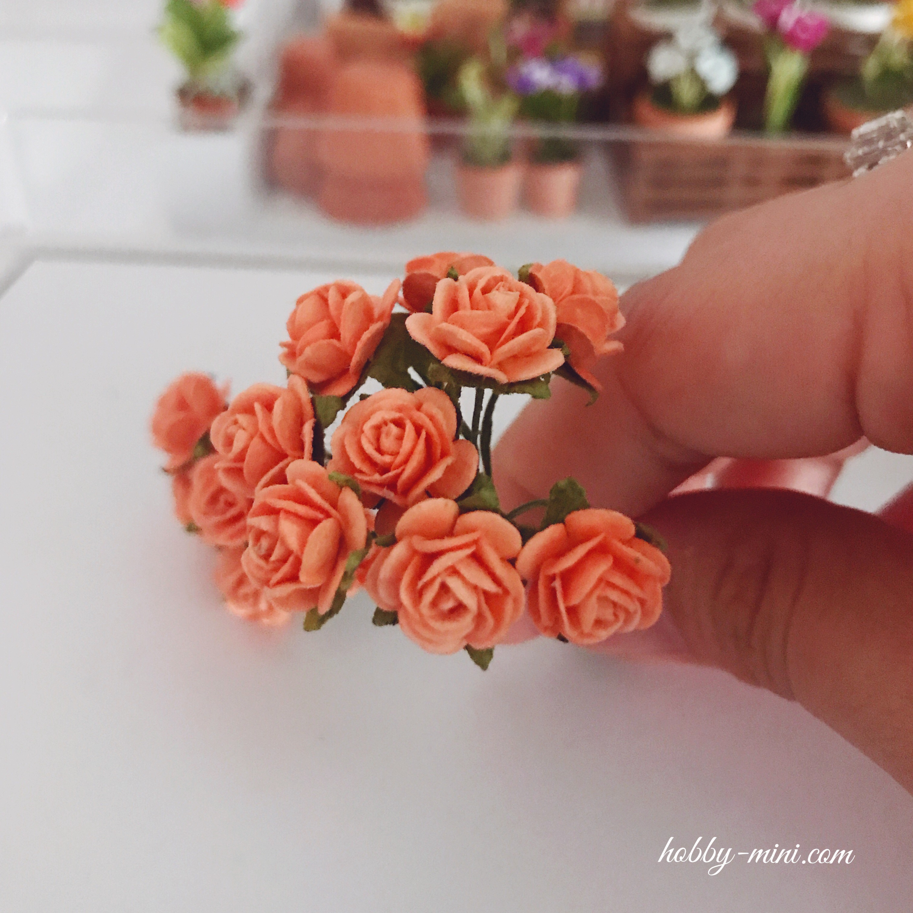 Miniature Orange Rose