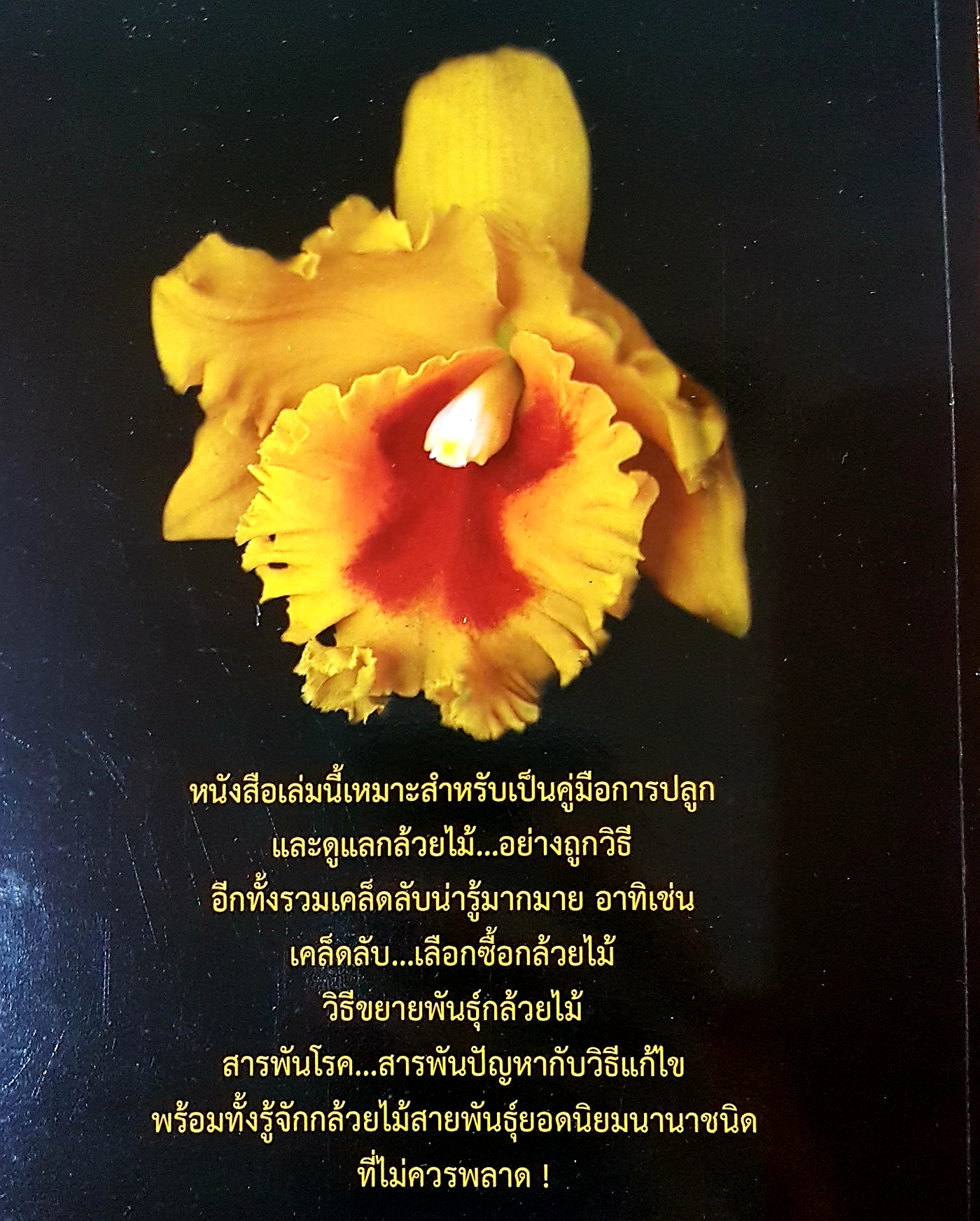 กล้วยไม้ คู่มือการปลูก และสายพันธุ์ยอดนิยม อาจารย์กมลวรรณ เตชะวณิช