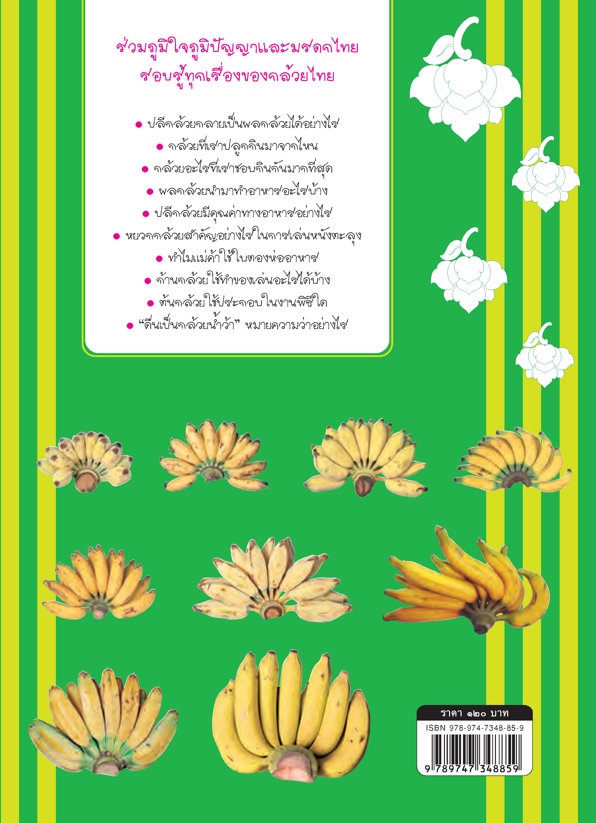 ภูมิใจไทย-กล้วยไทย(อาเซียน)