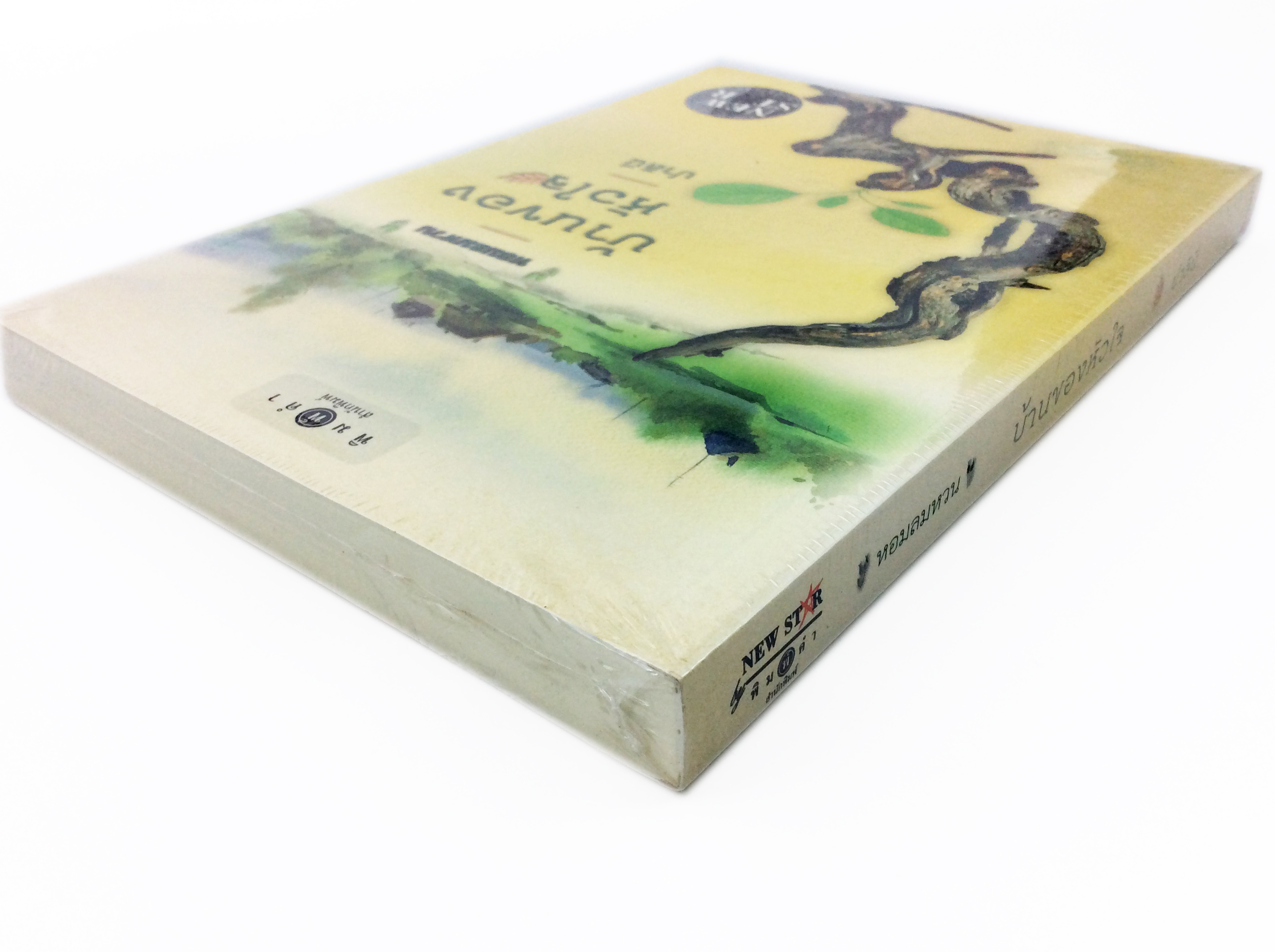 บ้านของหัวใจ นิยาย นิยายลดราคา หนังสือนิยาย