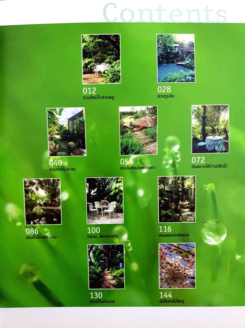 สวนส่วนตัวของคนรักสวน SECRET GARDEN : Home & decor special