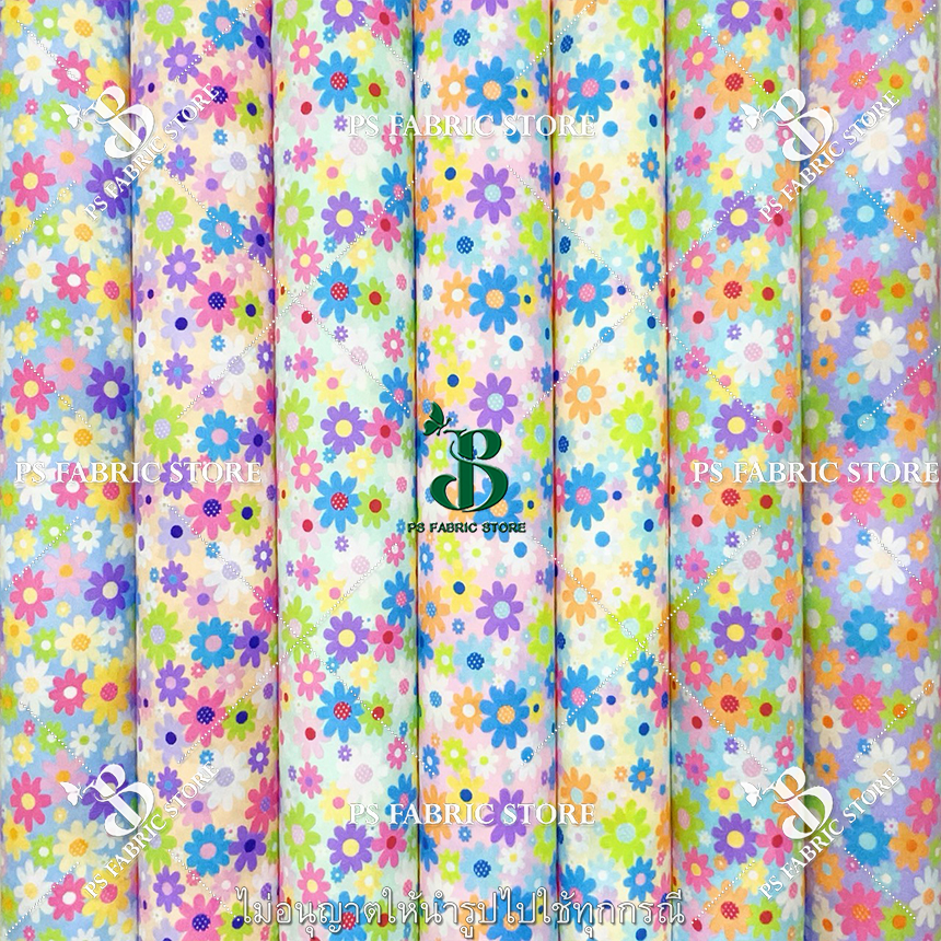 ลายเดซี่ DAISY