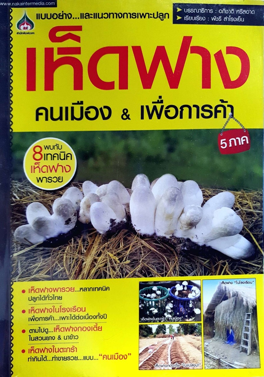 แบบอย่างและแนวทางการเพาะปลูก เห็ดฟาง คนเมือง & เพื่อการค้า 5 ภาค