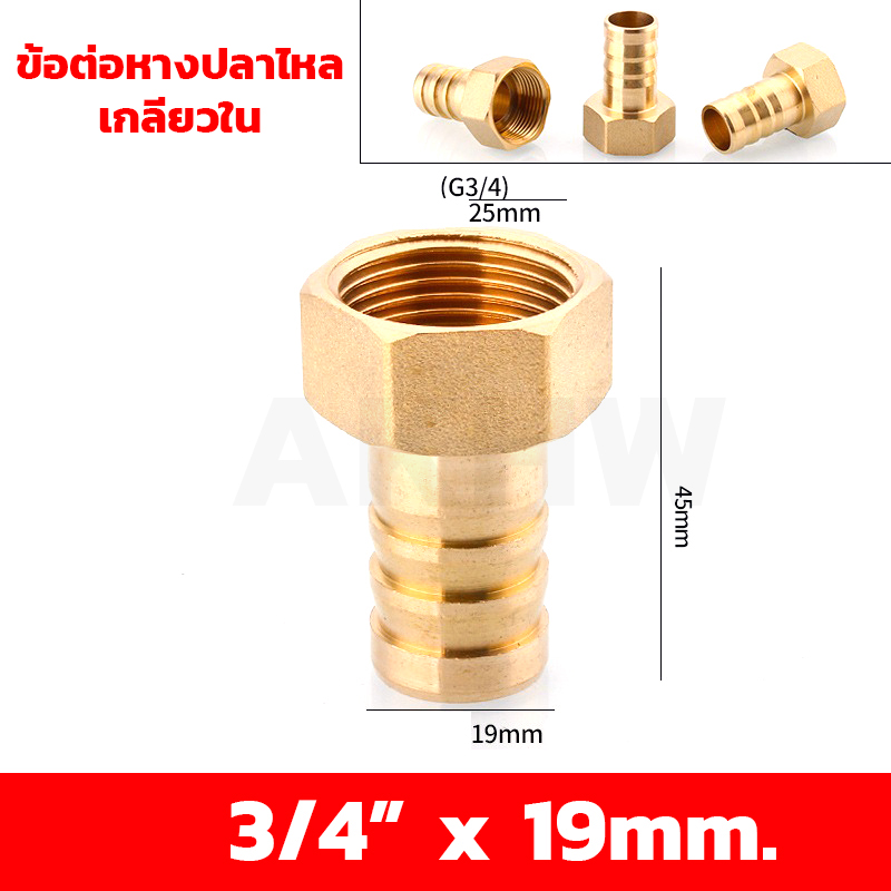 ข้อต่อหางปลาไหลเกลียวใน/เกลียวนอก ทองเหลือง KingsMan ขนาด 1/2นิ้ว 3/4นิ้ว [ขายปลีก/ส่ง]
