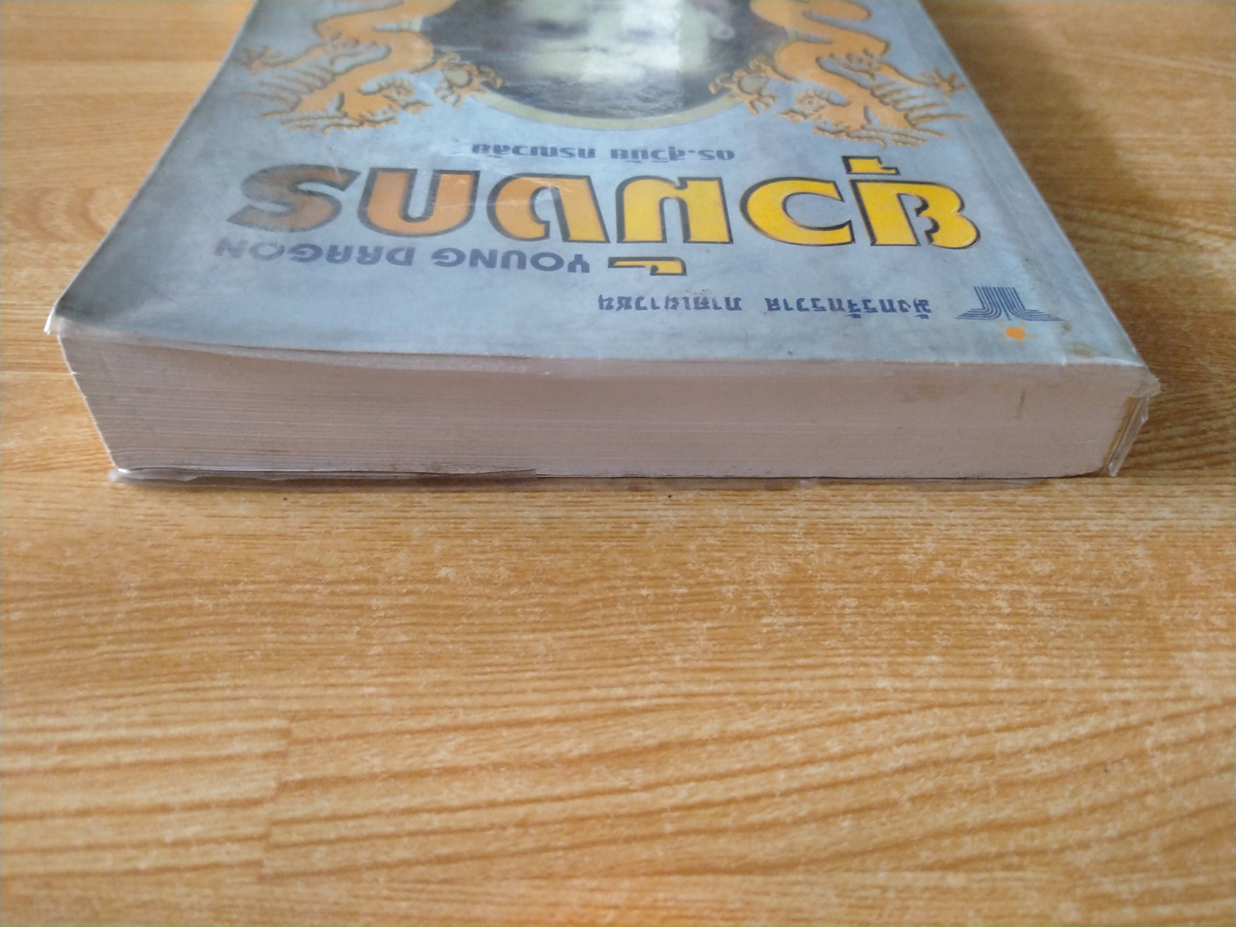 ยุวมังกร (มังกรจักรวาล ภาคเยาวชน)