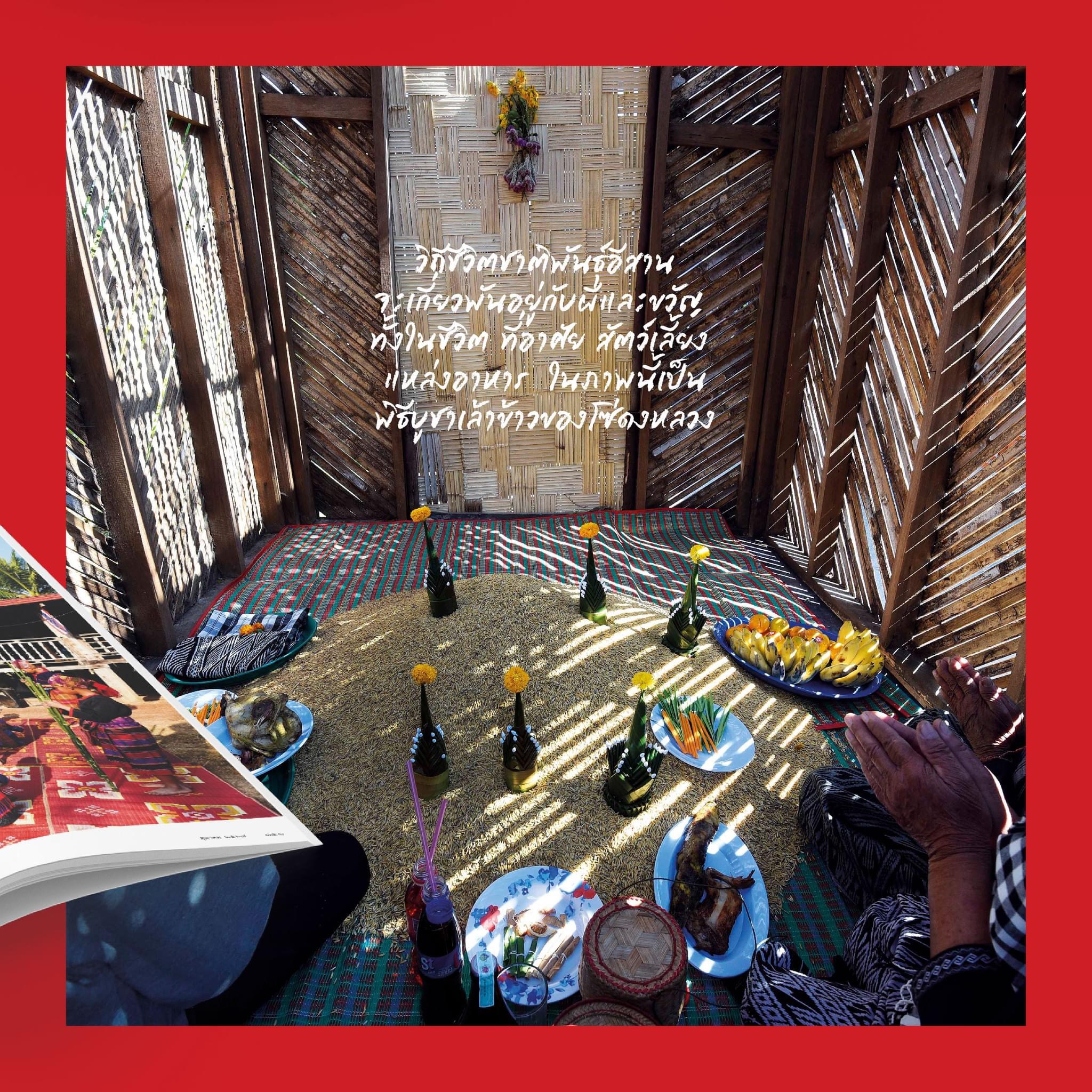 นิตยสารสารคดี ฉบับที่ 475 ชาติพันธุ์อีสาน หลากกลุ่มชนบนที่ราบสูง