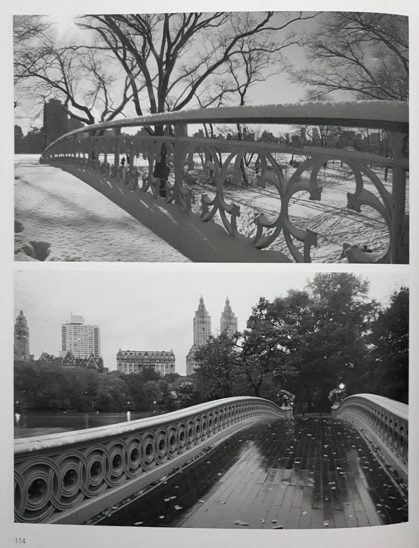 Iconic New York by Christopher Bliss (Hardcover)