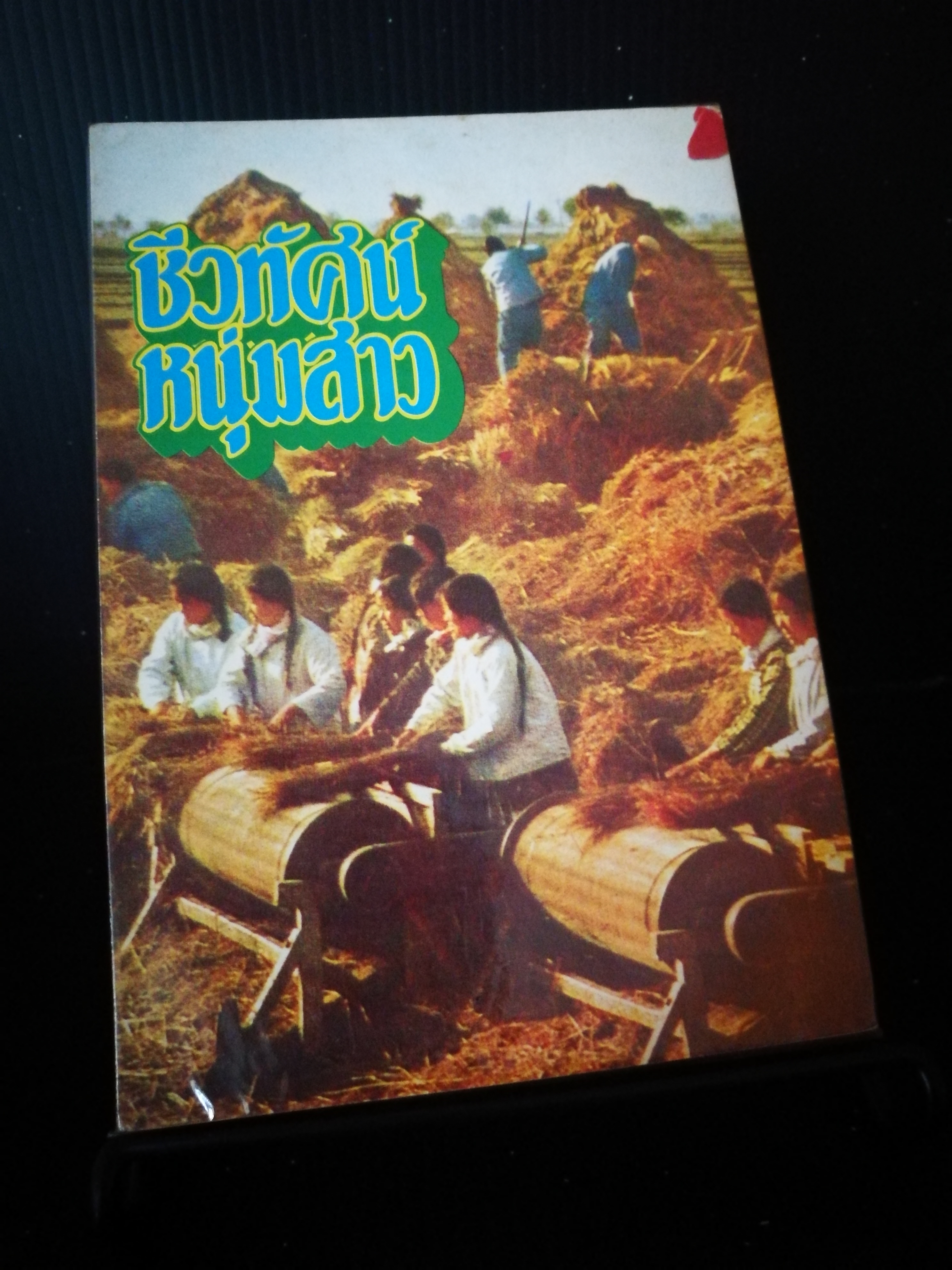 ชีวทัศน์หนุ่มสาว (หนังสือต้องห้าม)