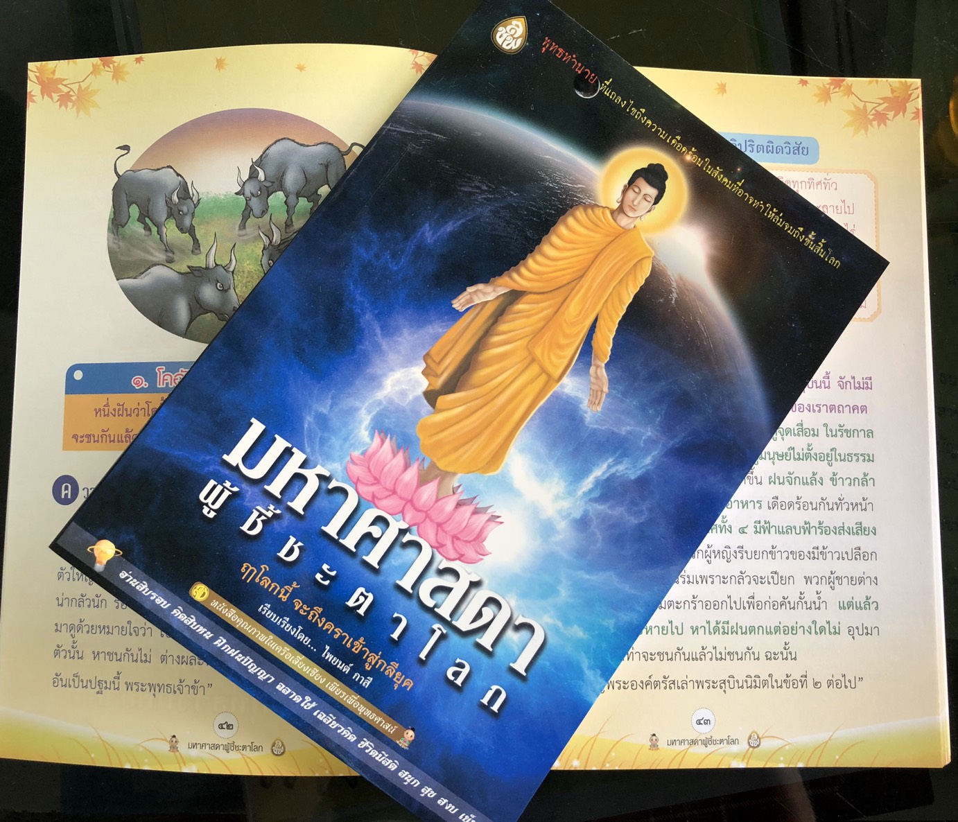 พุทธทำนาย มหาศาสดาผู้ชี้ชะตาโลก ฤาโลกนี้ จะถึงคราเข้าสู่กลียุค เนื้อในพิมพ์ 4 สี ทั้งเล่ม มีภาพการ์ตูนประกอบ