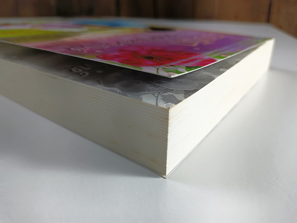 หนังสือราคาพิเศษ59บาท บ่วงรักซาตานเจ้าเล่ห์ หนังสือ นิยาย นิยายโรแมนติก