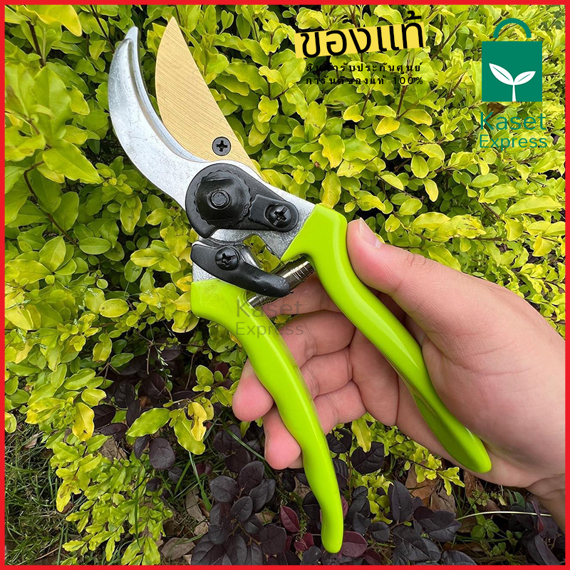 กรรไกรตัดกิ่ง 8นิ้ว รุ่น SW-185 กรรไกรตัดแต่งกิ่งไม้ สีเขียวอ่อน คมมากๆ