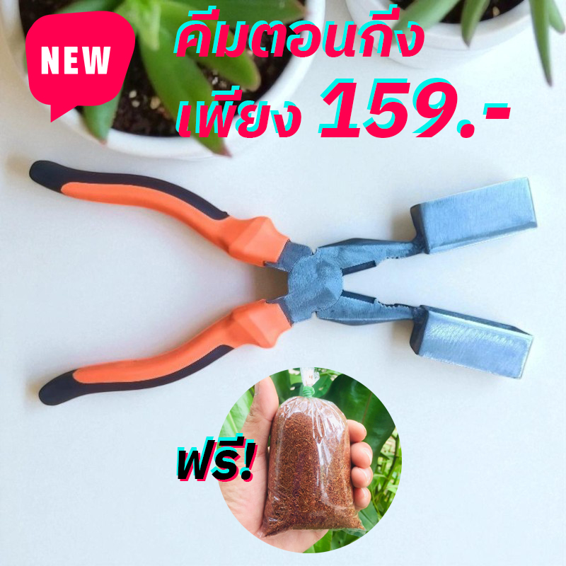คีมตอนกิ่ง คีมตอนกิ่งใบมีดคู่ กรรไกรตอนกิ่ง ขนาด 8 นิ้ว ฟรี ตุ้มตอนกิ่ง