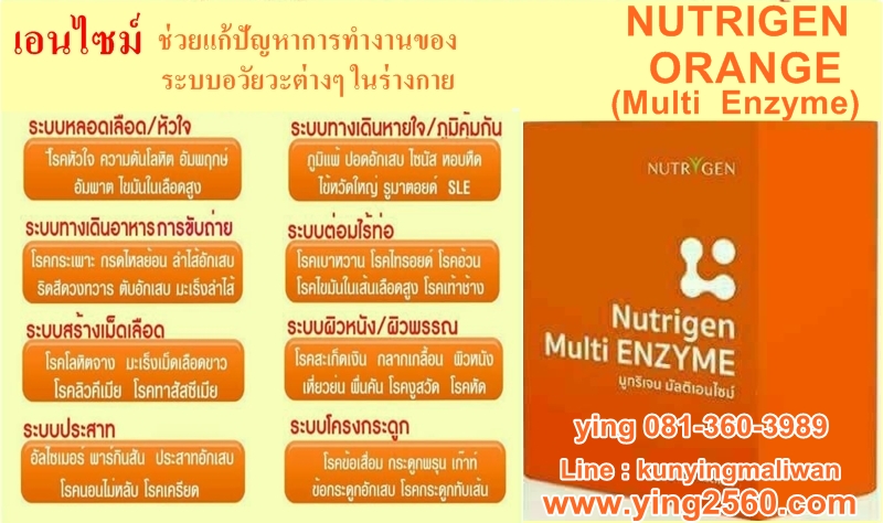 เอนไซม์,enzyme,มัลติ เอนไซม์,nutrigen multi enzyme,เบาหวาน,มะเร็ง,ความดัน,หัวใจ