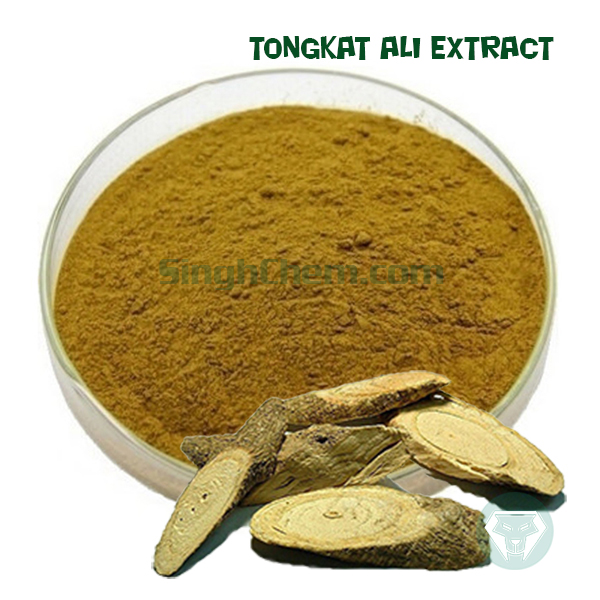สารสกัดปลาไหลเผือก (Tongkat Ali Extract)