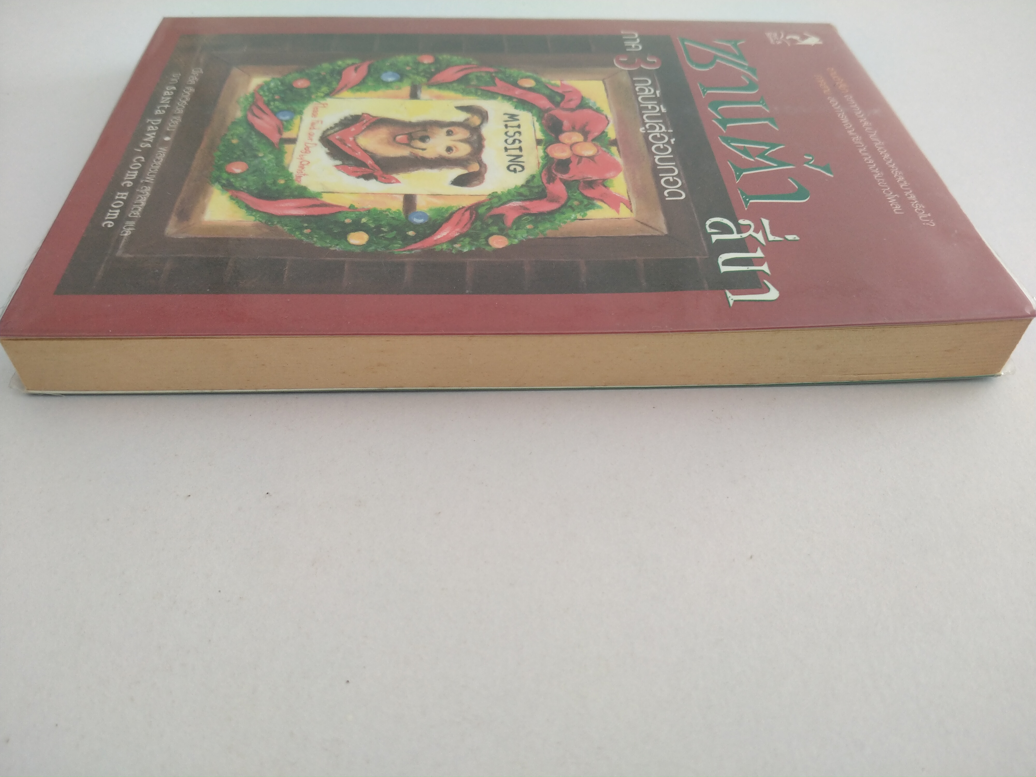 ซานต้าสี่ขา ภาค3 กลับคืนสู่อ้อมกอด