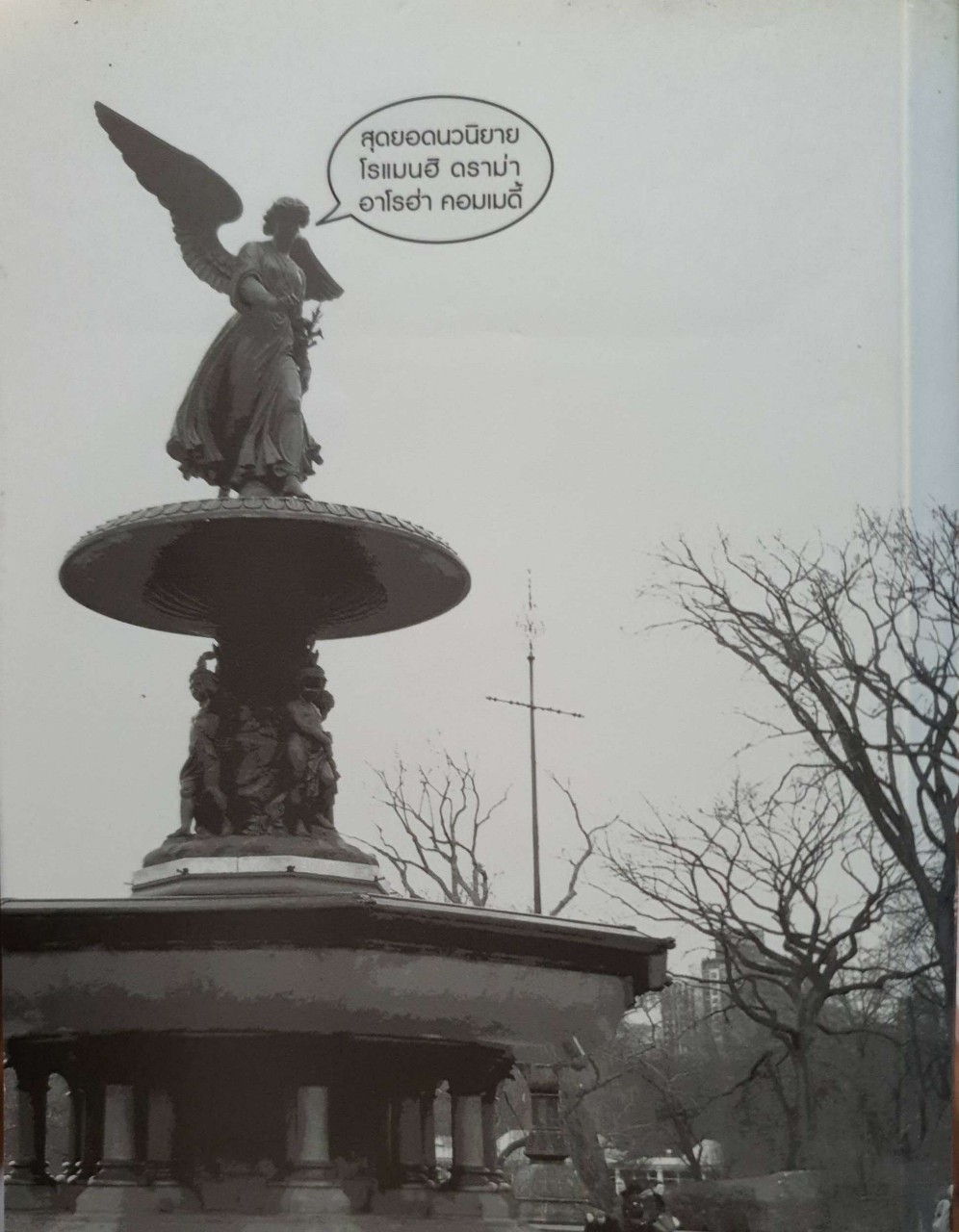 นิวยอร์กหอกหัก : BROKEN HEART IN NEW YORK